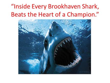 “Inside Every Brookhaven Shark, Beats the Heart of a Champion.”