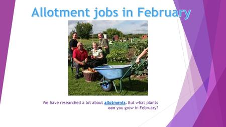 We have researched a lot about allotments. But what plants can you grow in February?allotments.