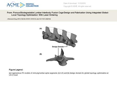 Date of download: 11/12/2016 Copyright © ASME. All rights reserved. From: Porous Biodegradable Lumbar Interbody Fusion Cage Design and Fabrication Using.