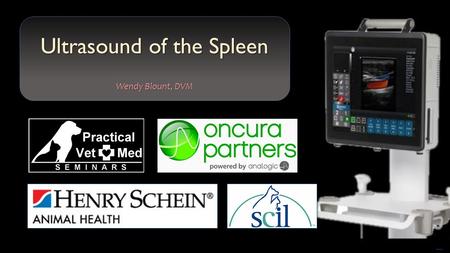 Free PowerPoint Templates Ultrasound of the Spleen Wendy Blount, DVM.