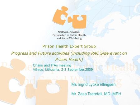 Ms Ingrid Lycke Ellingsen Mr. Zaza Tsereteli, MD, MPH Chairs and ITAs meeting Vilnius, Lithuania, 2-3 September,2009 Prison Health Expert Group Progress.