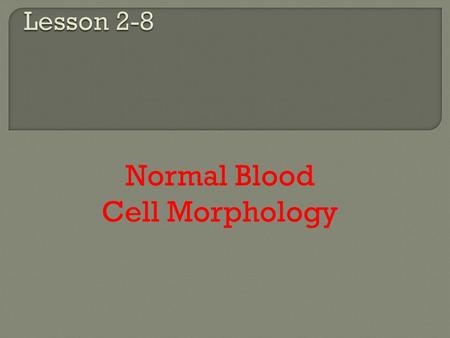 Normal Blood Cell Morphology.  Safety precautions  Quality assessment  Use oil immersion.