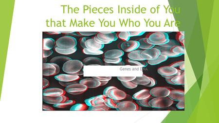 The Pieces Inside of You that Make You Who You Are Genes and DNA.