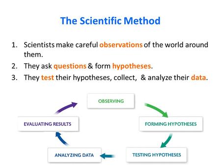 The Scientific Method 1.Scientists make careful observations of the world around them. 2.They ask questions & form hypotheses. 3.They test their hypotheses,