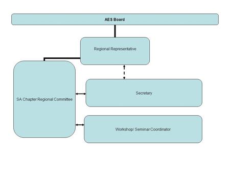 AES Board Regional Representative SA Chapter Regional Committee Secretary Workshop/ Seminar Coordinator.