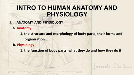 INTRO TO HUMAN ANATOMY AND PHYSIOLOGY I.ANATOMY AND PHYSIOLOGY a. Anatomy 1. the structure and morphology of body parts, their forms and organization b.