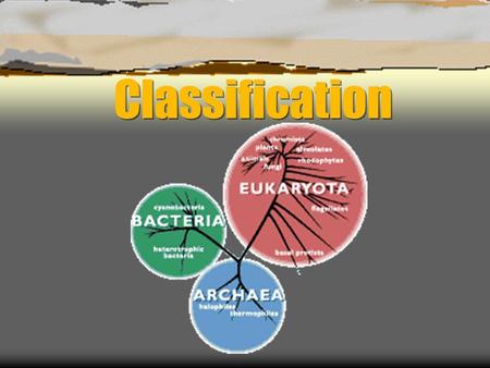 Classification  The organization of species into groups based on their characteristics  Taxonomy = the science of classification.