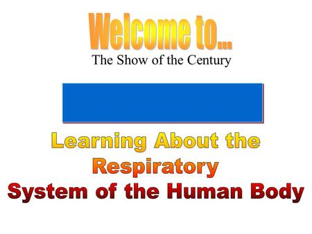 The Show of the Century. Title Page Nasal Passage Bronchiole Alveoli Pharynx Trachea Bronchi Human Respiratory System Diagram Best viewed at full screen.