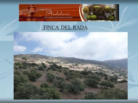 FINCA DEL RADA. Finca del Rada was given to General Ricardo Rada in 1956 for his services to Francisco Franco the Spanish dictator during the civil war.