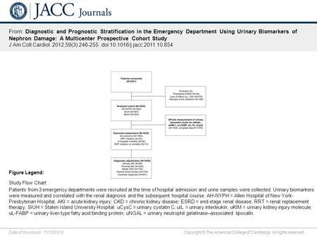 Date of download: 11/12/2016 Copyright © The American College of Cardiology. All rights reserved. From: Diagnostic and Prognostic Stratification in the.