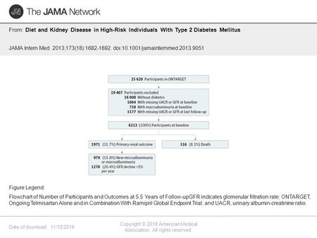 Date of download: 11/12/2016 Copyright © 2016 American Medical Association. All rights reserved. From: Diet and Kidney Disease in High-Risk Individuals.