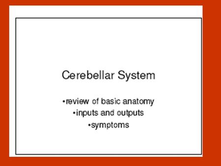 Cerebellum External Configurations Cerebellum External Configurations - located in posterior cranial fossa - tentorium cerebelli (cerebrum), 4th ventricle.