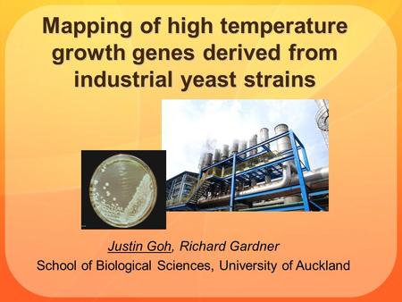 Mapping of high temperature growth genes derived from industrial yeast strains Justin Goh, Richard Gardner School of Biological Sciences, University of.