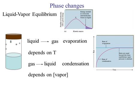 Phase changes Liquid-Vapor Equilibrium liquid gas evaporation gas liquidcondensation depends on T depends on [vapor]