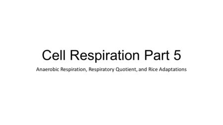 Cell Respiration Part 5 Anaerobic Respiration, Respiratory Quotient, and Rice Adaptations.