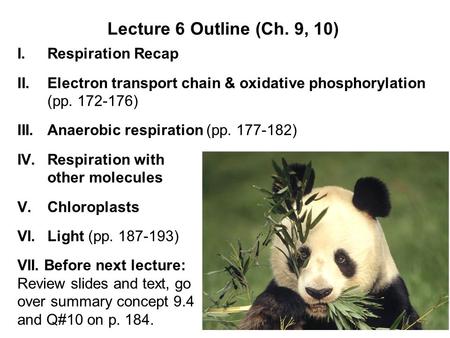 Lecture 6 Outline (Ch. 9, 10) I.Respiration Recap II.Electron transport chain & oxidative phosphorylation (pp ) III.Anaerobic respiration (pp.