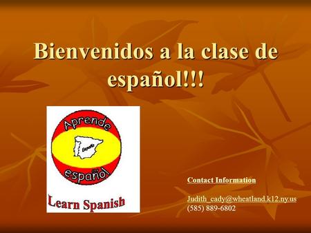 Bienvenidos a la clase de español!!! Contact Information (585)