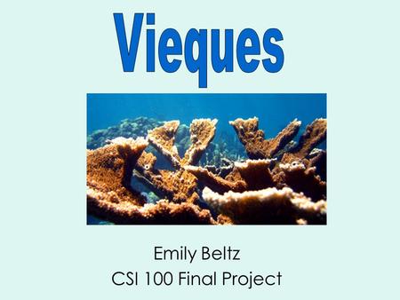 Emily Beltz CSI 100 Final Project. Vieques is located 8 miles off the eastern shore of Puerto Rico. In the 1940s, the US military took over Vieques to.