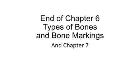 End of Chapter 6 Types of Bones and Bone Markings And Chapter 7.