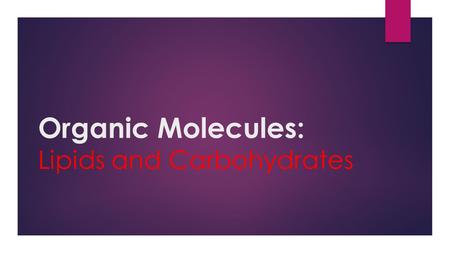 Organic Molecules: Lipids and Carbohydrates. Carbon-Based Life Form  Carbon is the backbone for all life on Earth.  Carbon forms the compounds that.