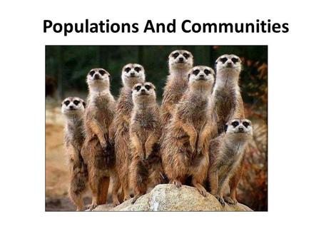 Populations And Communities. Populations Definition: A group of individuals of the same species, living in a shared space at a specific point in time.