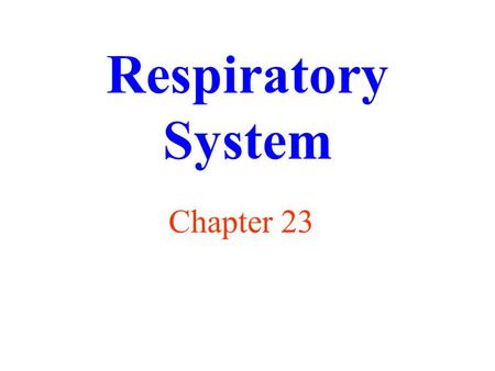 Respiratory System Chapter 23. Functions of Respiratory System supply oxygen (O 2 ) remove carbon dioxide (CO 2 ) regulation of blood pH receptors for.