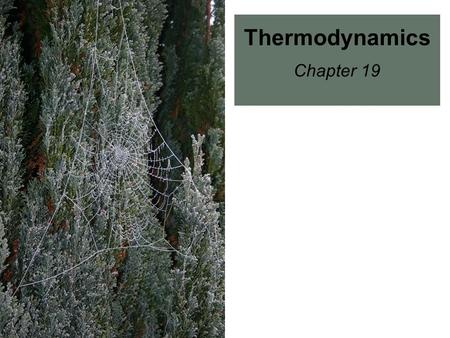 Thermodynamics Chapter 19. Important vocabulary to review: Heat Temperature Energy State function/property System Surroundings Work Driving force.