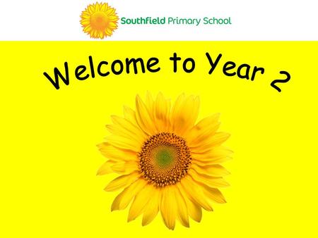 Your class teachers TA’s: Ms McGuiness (Mon – Wed) Mrs Taylor (Thurs-Fri) Ms Derya Miss Saleh Miss Rosenthal TA’s: Ms Pope Ms Grace.