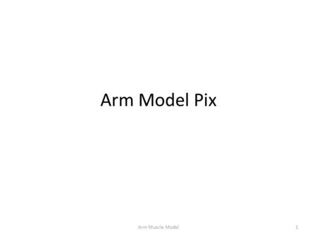 Arm Model Pix 1Arm Muscle Model. 14 Deltoid 11 Infraspinatus 12 Teres minor 13 22b Long head of triceps brachii 22 Triceps brachii 25 Profunda brachii.