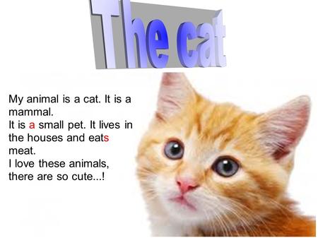 My animal is a cat. It is a mammal. It is a small pet. It lives in the houses and eats meat. I love these animals, there are so cute...!