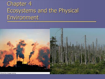 Chapter 4 Ecosystems and the Physical Environment.