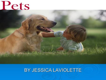 PETS BY JESSICA LAVIOLETTE. CONTENTS Stray pets Stray pets Owner ship Owner ship Moods Moods Puppy’s Puppy’s Jobs for dogs Jobs for dogs.