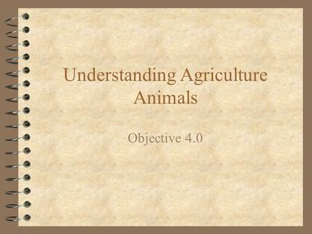 Understanding Agriculture Animals Objective 4.0. Classify Traits for Selection of Animals Objective: 4.01.