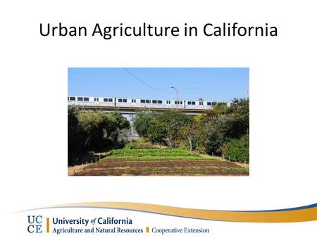 Urban Agriculture in California. Results from UC Cooperative Extension Study Benefits What do urban farms look like in CA? Challenges What cities can.