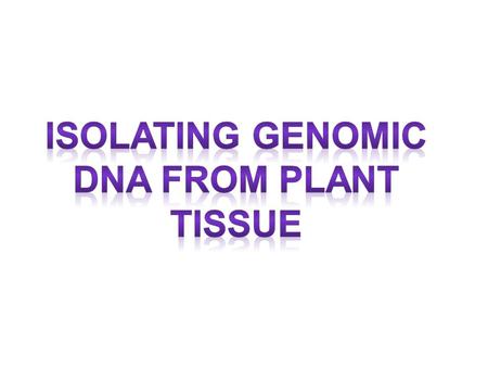 Introduction Recent years have seen an explosion in the number and variety of plant molecular biology applications being used in research laboratories.