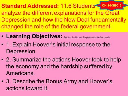 Standard Addressed: 11.6 Students analyze the different explanations for the Great Depression and how the New Deal fundamentally changed the role of the.