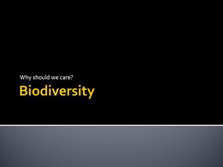 Why should we care?.  Diversity measured on three levels  Genetic  Species  Ecosystem.