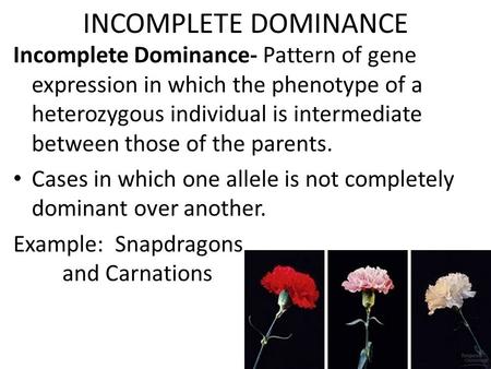 INCOMPLETE DOMINANCE Incomplete Dominance- Pattern of gene expression in which the phenotype of a heterozygous individual is intermediate between those.