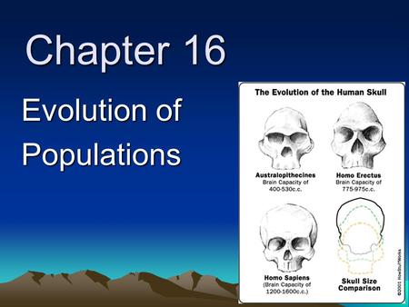 Chapter 16 Evolution of Populations. 16-1: Genes and Variation natural selection relies on variation genes are the source of inheritable variation when.