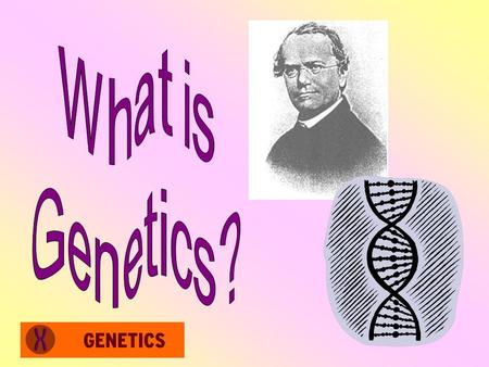 Heredity o Heredity parent to offspring o Heredity = the passing of traits from parent to offspring.