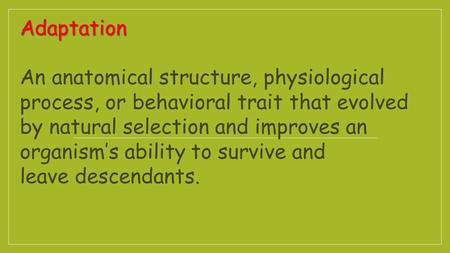 Adaptation An anatomical structure, physiological process, or behavioral trait that evolved by natural selection and improves an organism’s ability to.