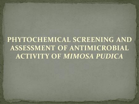 PHYTOCHEMICAL SCREENING AND ASSESSMENT OF ANTIMICROBIAL ACTIVITY OF MIMOSA PUDICA.