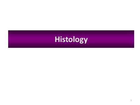 1 Histology. Vocabulary Words – List #2 1. histology – the study of tissues 2. tissue – layers or groups of similar cells with a common function 3. squamous.