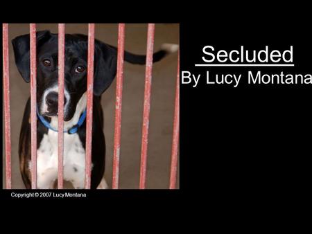 Secluded By Lucy Montana Copyright © 2007 Lucy Montana.