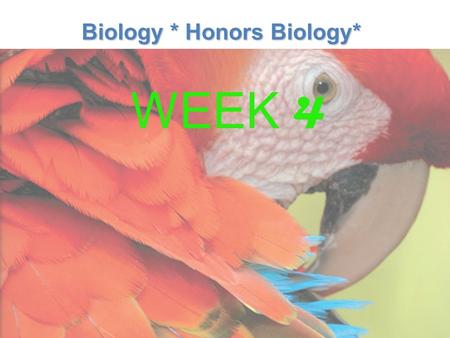 Lesson Overview Lesson Overview What is Ecology? Biology * Honors Biology* WEEK 4.