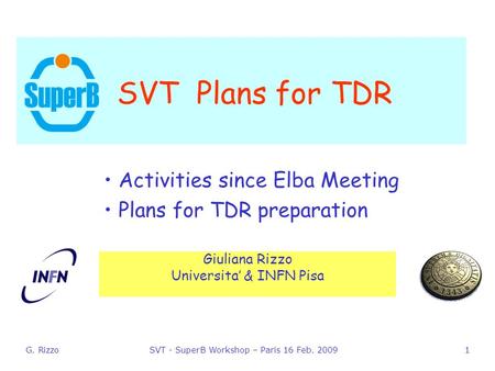 G. RizzoSVT - SuperB Workshop – Paris 16 Feb SVT Plans for TDR Activities since Elba Meeting Plans for TDR preparation Giuliana Rizzo Universita’