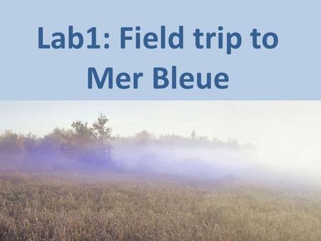 Lab1: Field trip to Mer Bleue. Lab objectives Identify dominant plant species in Mer Bleue Summarize and report quantitative data efficiently and accurately.