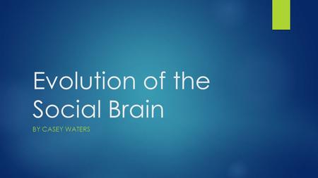 Evolution of the Social Brain BY CASEY WATERS. What makes us different from chimpanzees?  Social intelligence  Sense of self  Theory of Mind  Our.