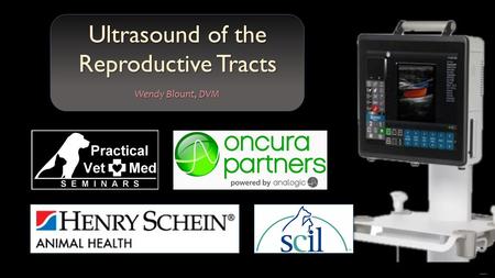 Free PowerPoint Templates Ultrasound of the Reproductive Tracts Wendy Blount, DVM.