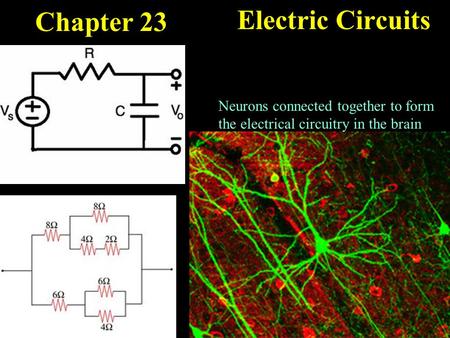 Chapter 23 Electric Circuits Neurons connected together to form the electrical circuitry in the brain.